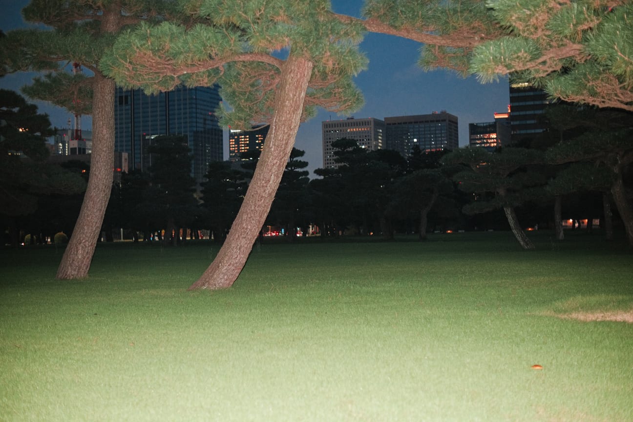 1792344093258-DSF2056.jpg